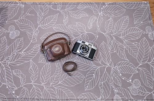 Zeiss ikon contina - zeiss,